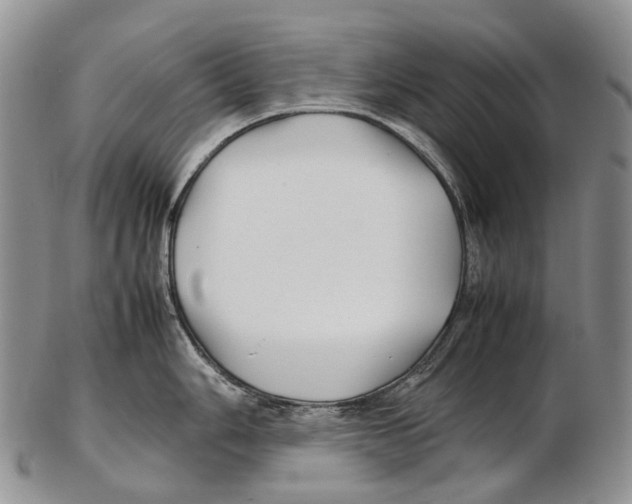X0000102271006200808221433