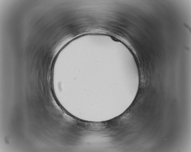X0000102271007200808221433