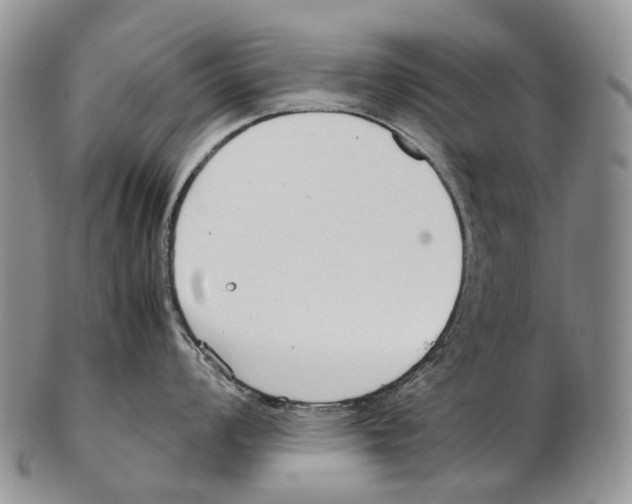 X0000102271008200808221433