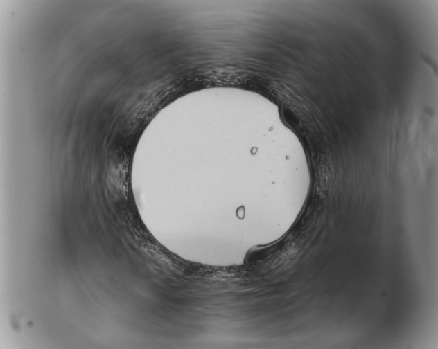 X0000102271010200808221433