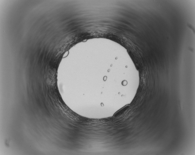 X0000102271012200808221433