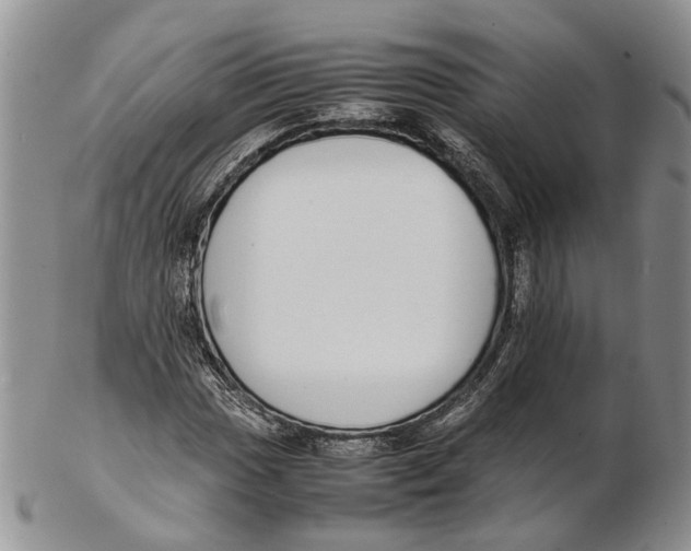 X0000102271017200808221433