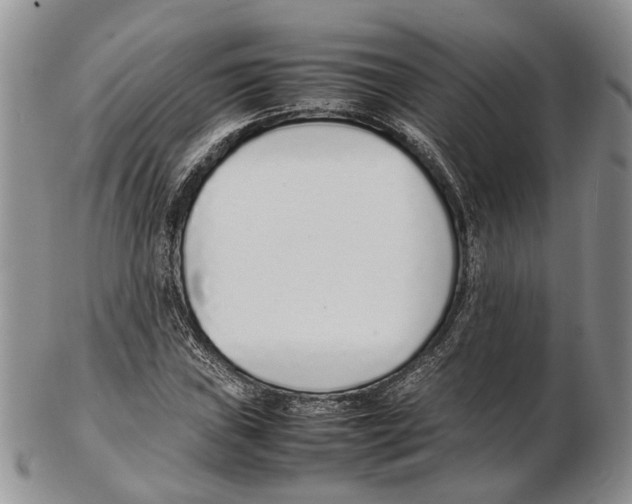 X0000102271019200808221433