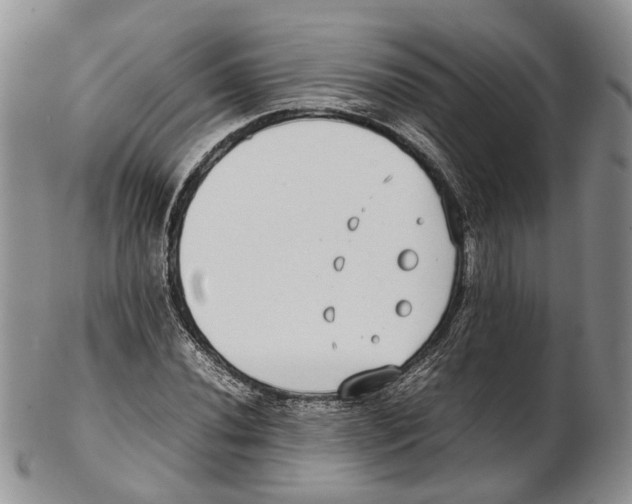 X0000102271020200808221433
