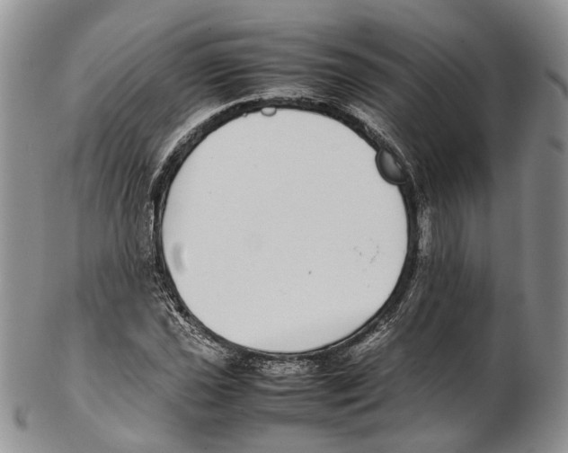 X0000102271021200808221433