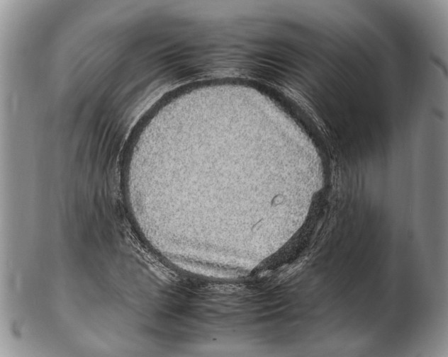 X0000102271023200808221433