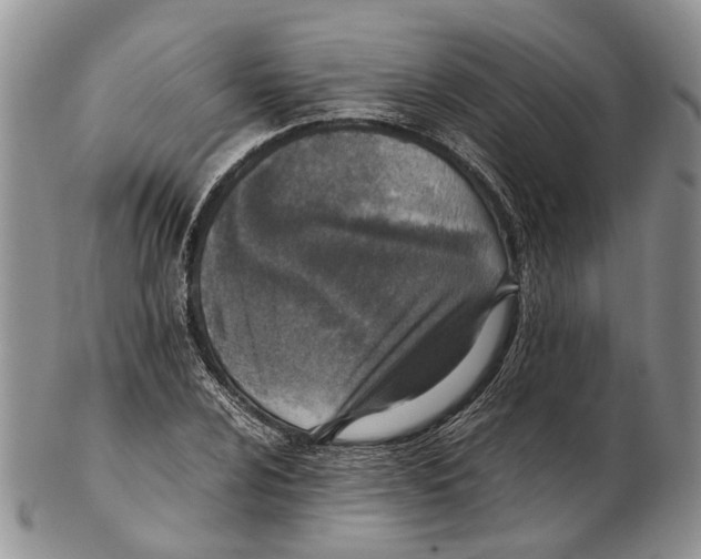 X0000102271024200808221433