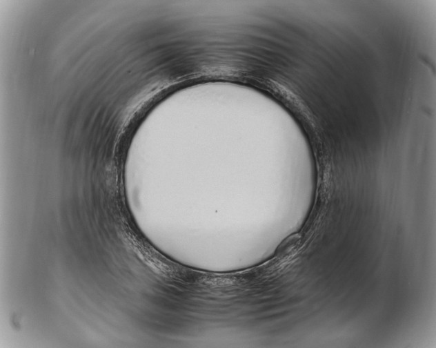X0000102271027200808221433