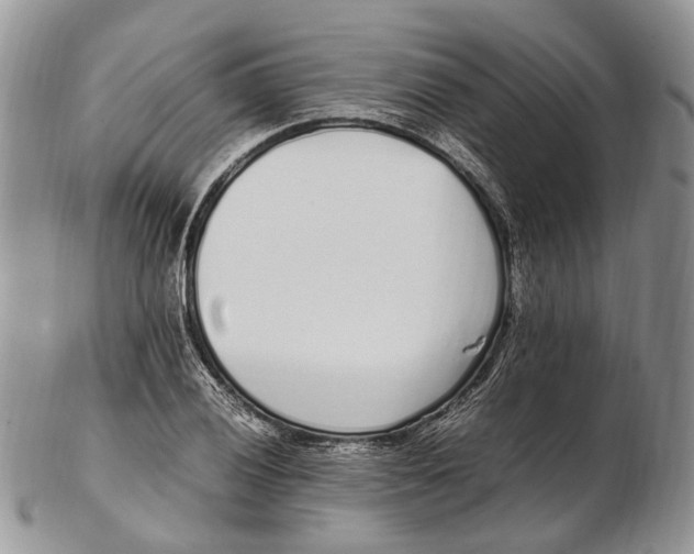 X0000102271028200808221433
