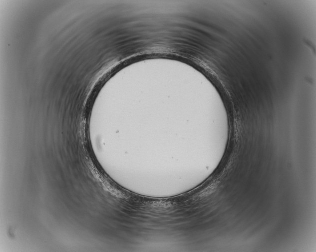 X0000102271029200808221433