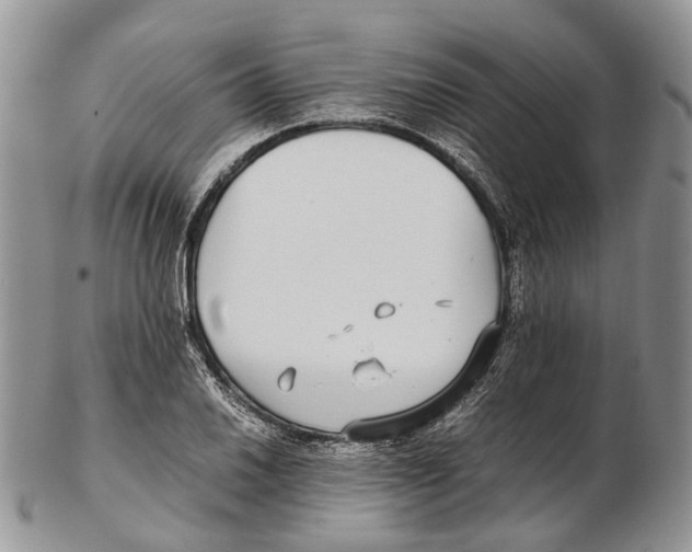 X0000102271030200808221433