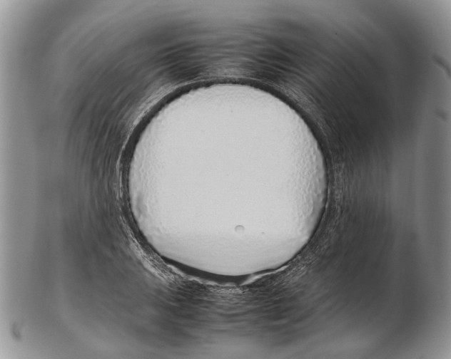 X0000102271031200808221433