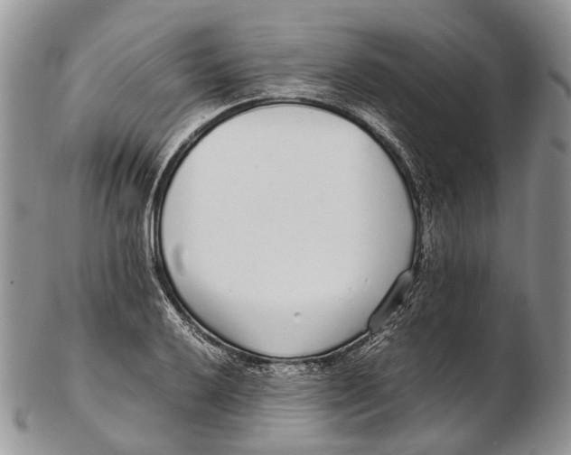 X0000102271032200808221433