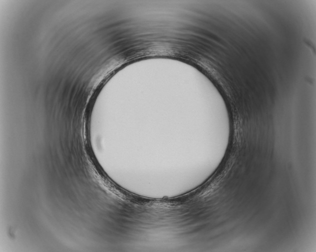 X0000102271034200808221433