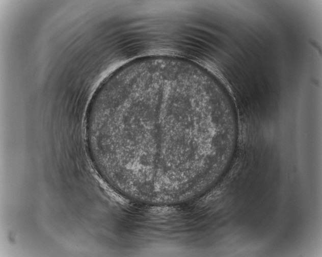 X0000102271037200808221433
