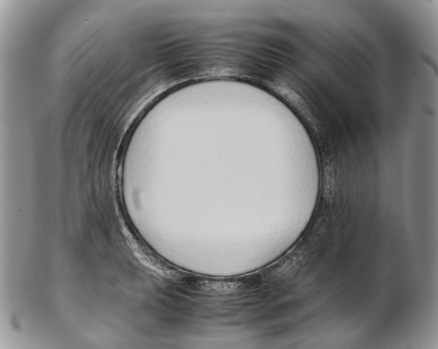 X0000102271039200808221433