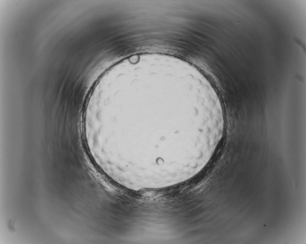 X0000102271040200808221433