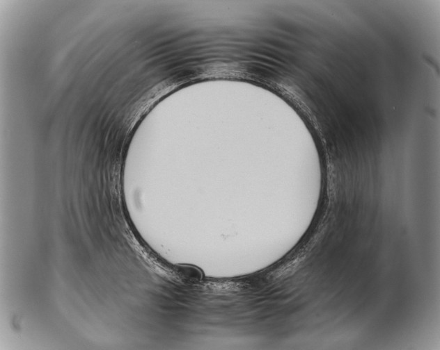 X0000102271041200808221433