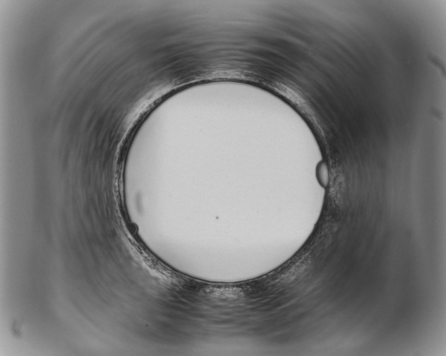 X0000102271043200808221433