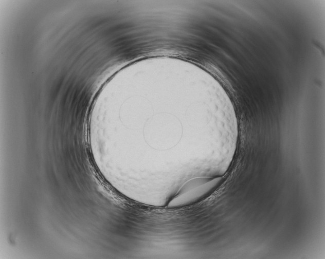 X0000102271044200808221433