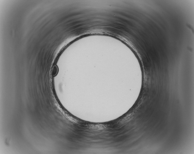 X0000102271045200808221433