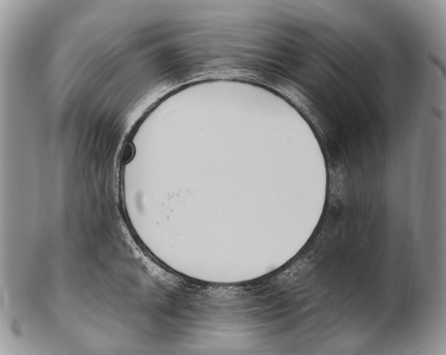 X0000102271046200808221433
