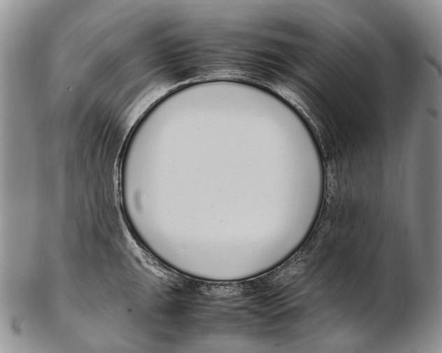 X0000102271047200808221433