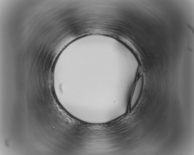 X0000102271048200808221433
