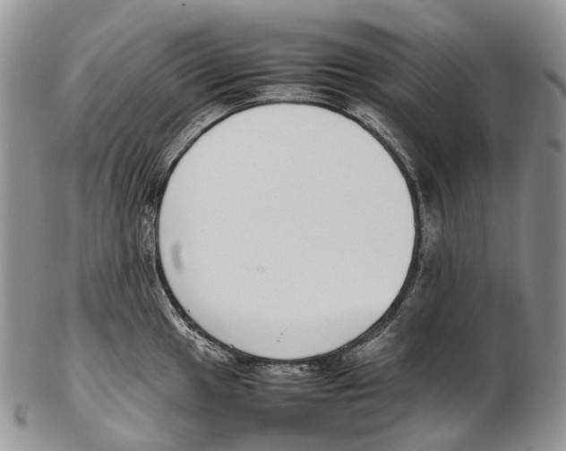 X0000102271049200808221433