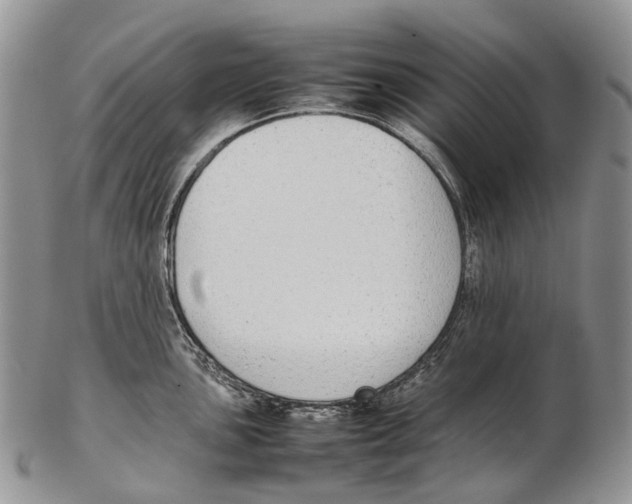 X0000102271051200808221433