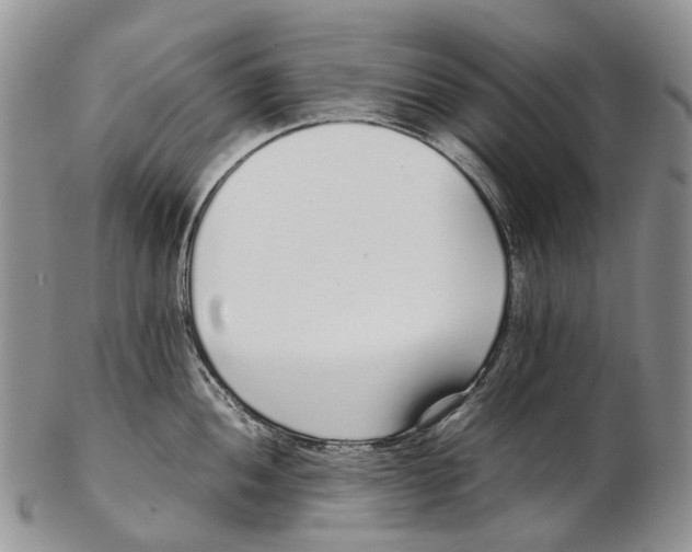 X0000102271052200808221433
