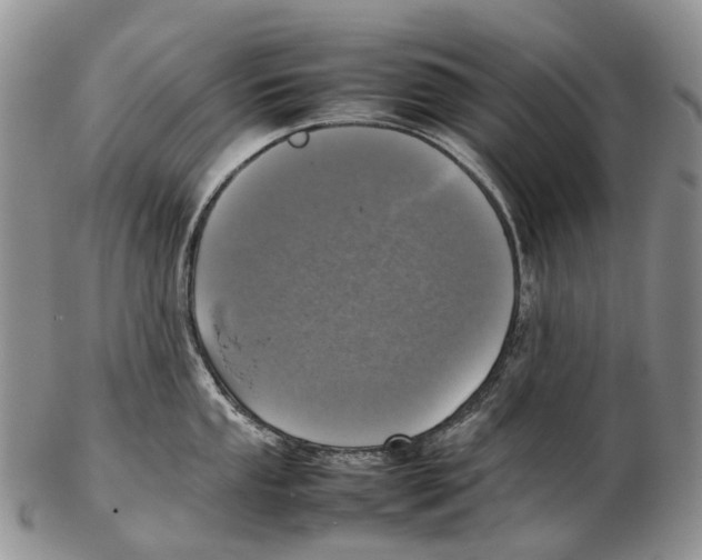 X0000102271053200808221433