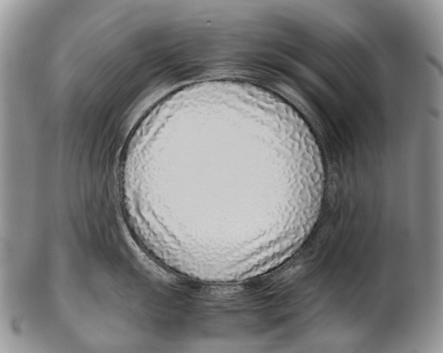 X0000102271055200808221433