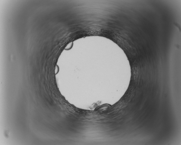 X0000102271057200808221433