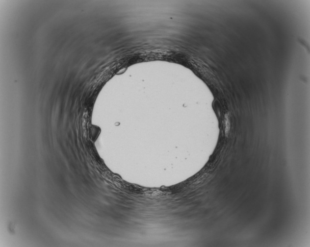 X0000102271059200808221433