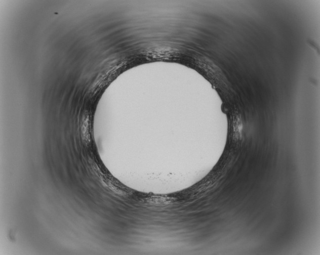 X0000102271060200808221433