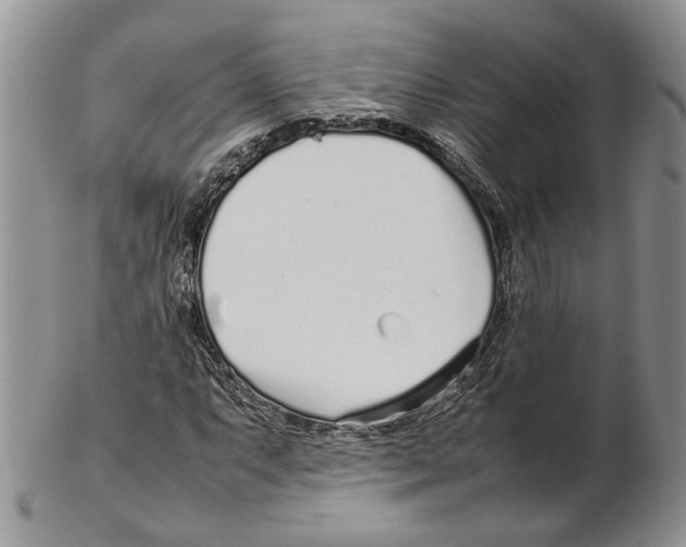 X0000102271063200808221433