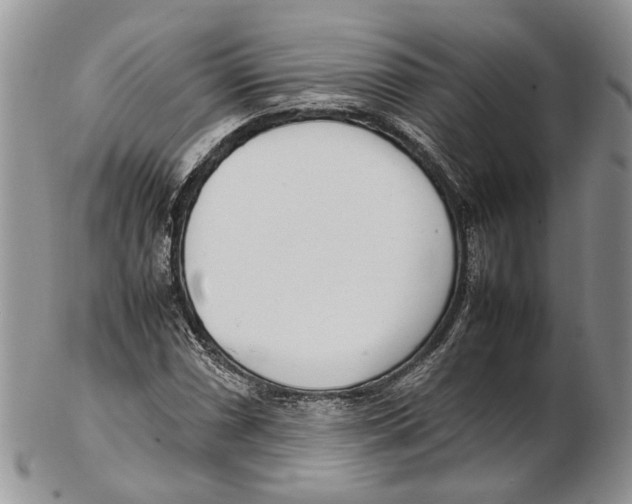 X0000102271066200808221433