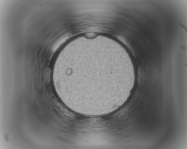 X0000102271067200808221432