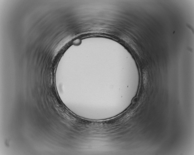 X0000102271069200808221432