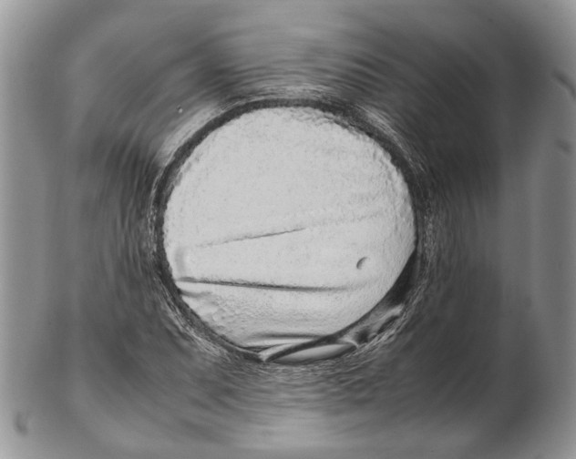X0000102271071200808221432
