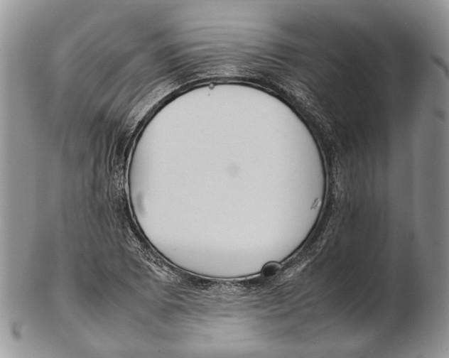 X0000102271073200808221432