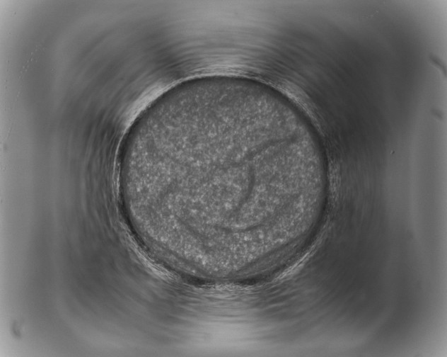 X0000102271077200808221432
