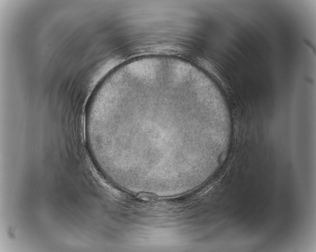 X0000102271079200808221432