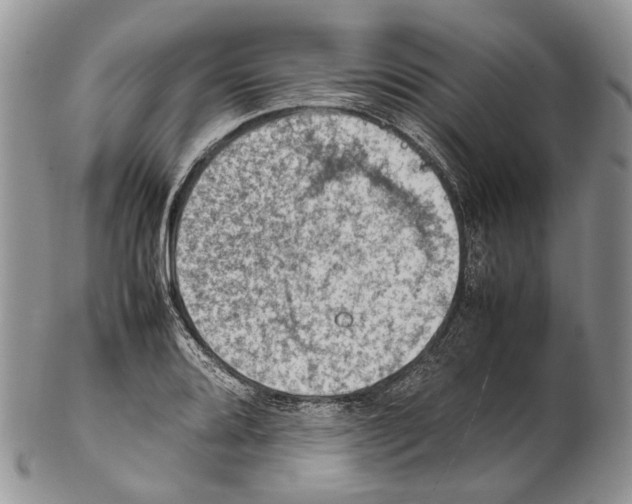 X0000102271080200808221432