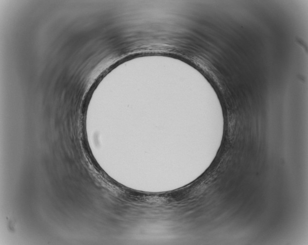 X0000102271085200808221432