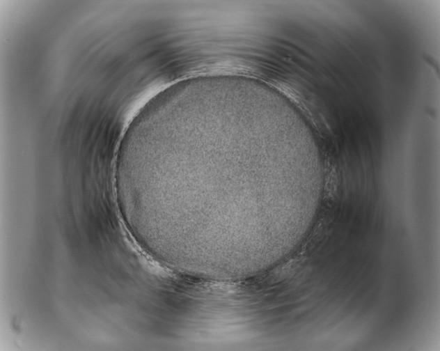 X0000102271086200808221432