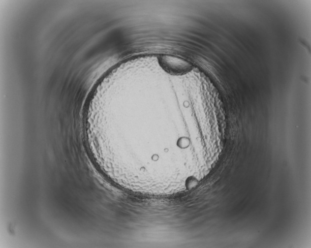 X0000102271087200808221432