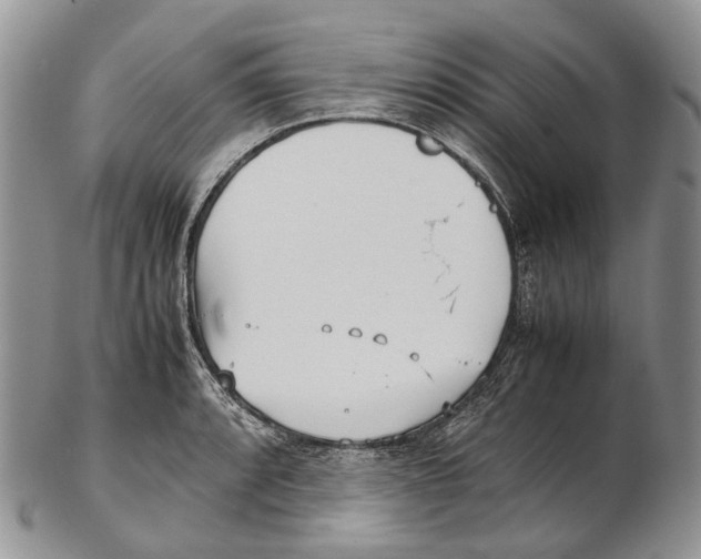 X0000102271088200808221432