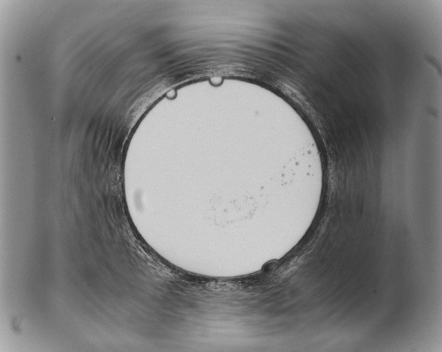 X0000102271089200808221432